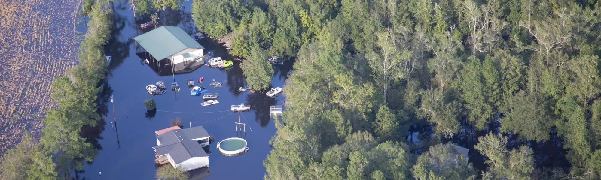 a body of water with boats and trees around it