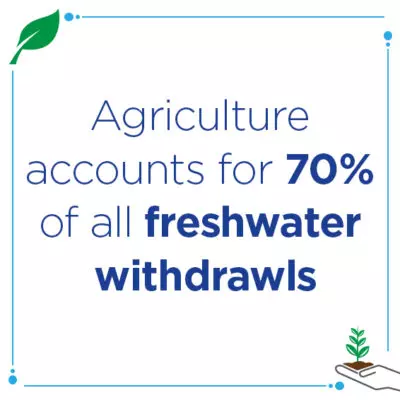 agriculture water usage