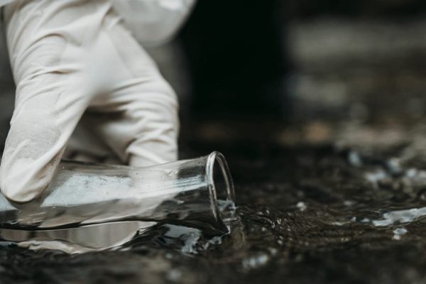 Water Quality Standards Guide