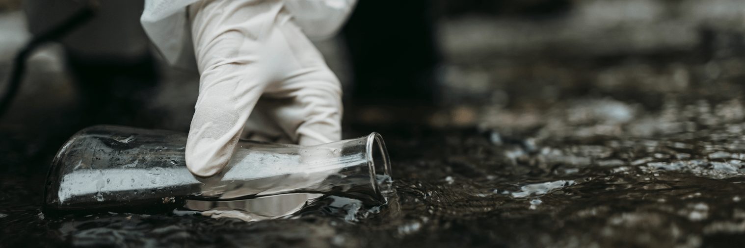 Water Quality Standards Guide